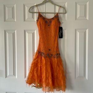 Princess by Dela-Jo dress, comes with tag.